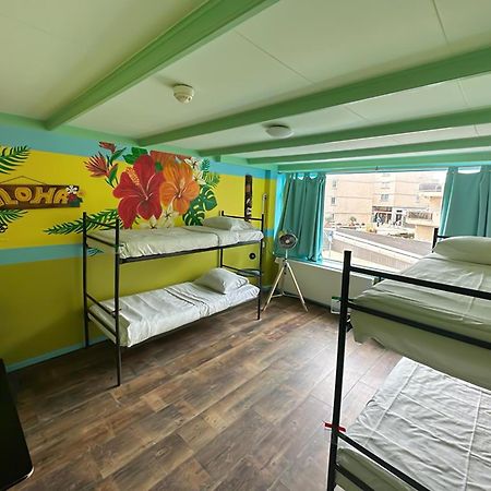 The Flying Pig Beach Hostel 노르트베이크 외부 사진