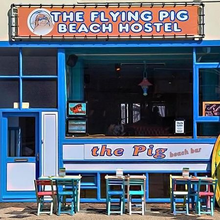 The Flying Pig Beach Hostel 노르트베이크 외부 사진