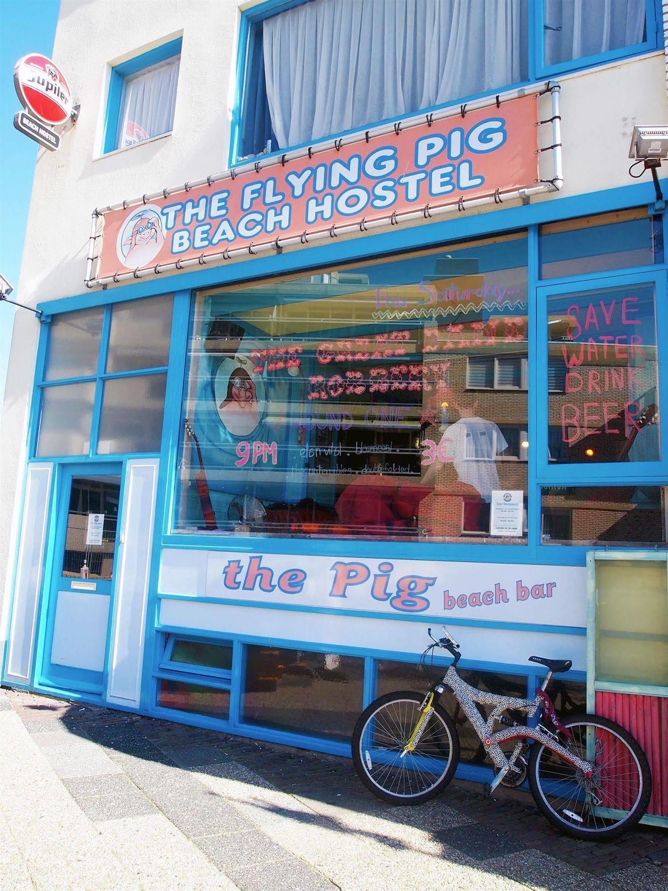 The Flying Pig Beach Hostel 노르트베이크 외부 사진