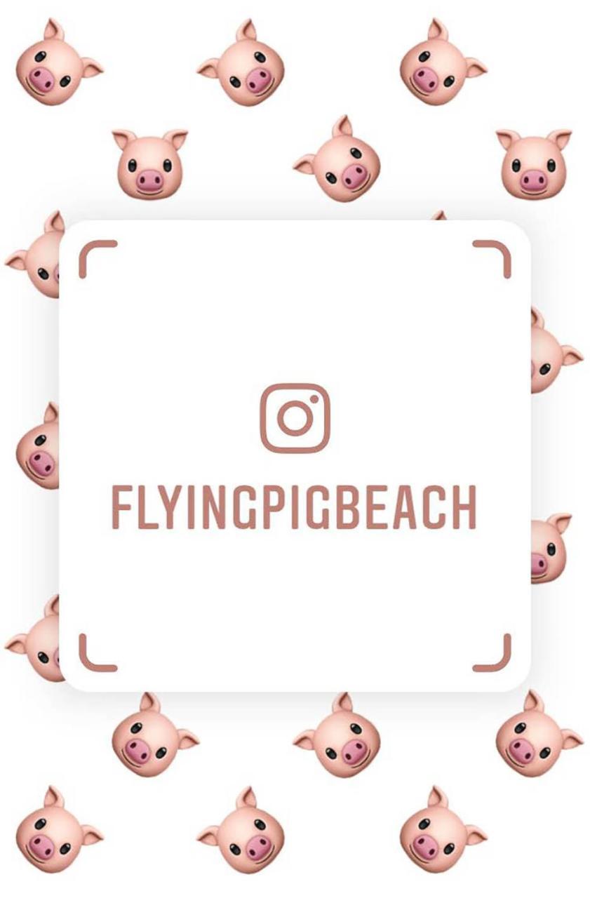The Flying Pig Beach Hostel 노르트베이크 외부 사진